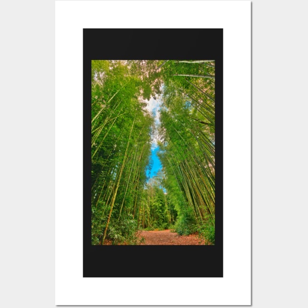 Bamboo Keyhole Forest Wall Art by somadjinn